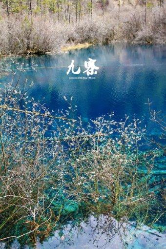 斗罗:江楠楠的身体太灵活了,一记腰弓踢出王者范