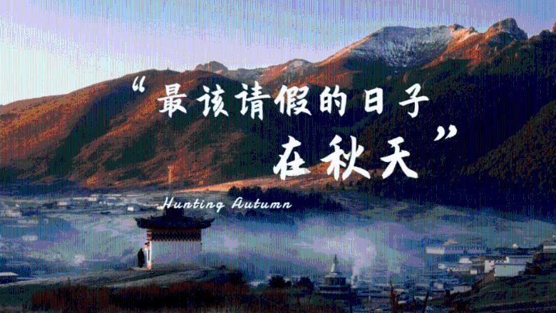 逃离午夜神坛