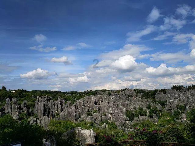 锦绣红运“龙”重登场