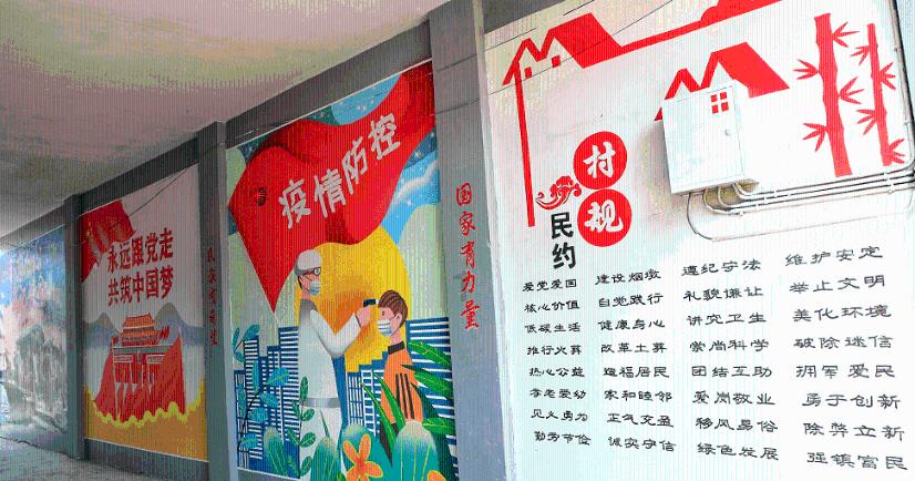 救援白色小猫