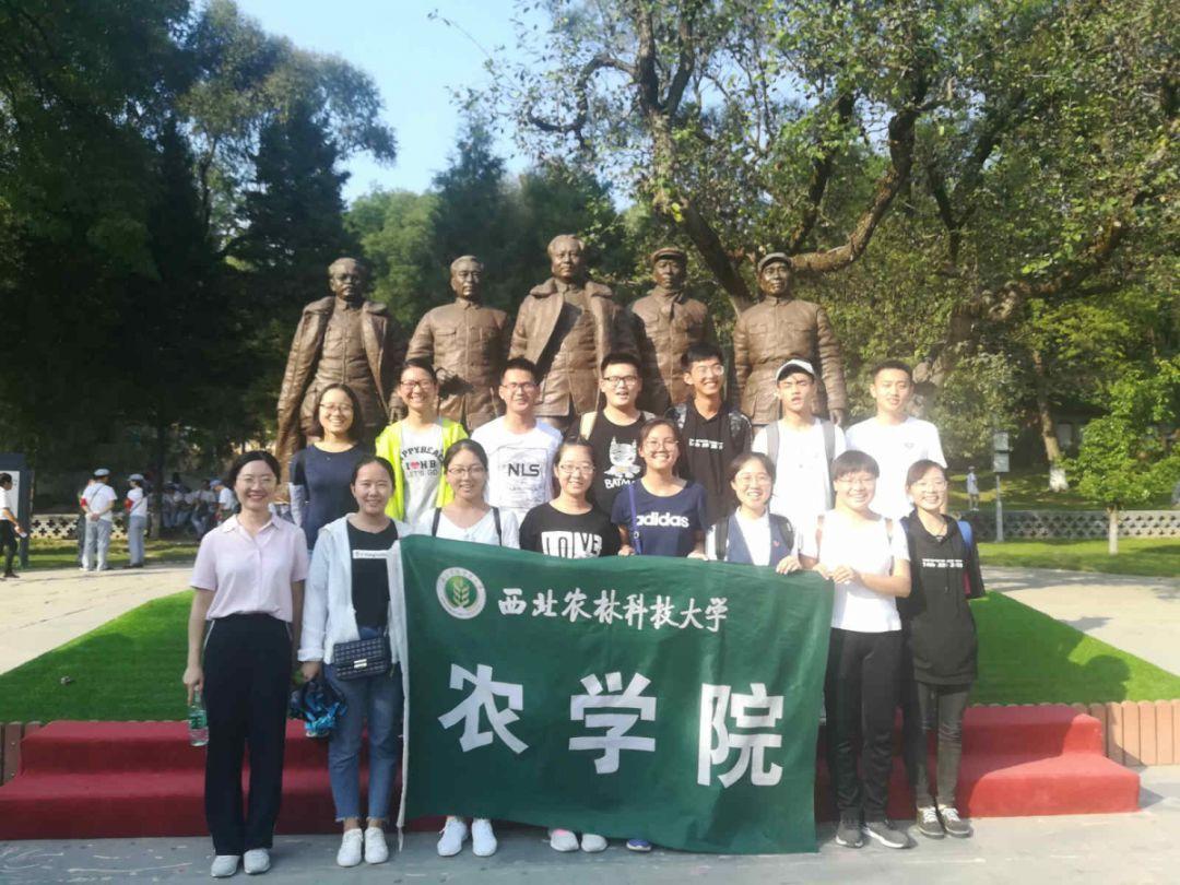 高空畅游的女孩