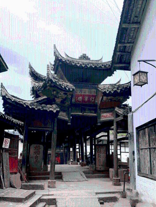 解救可爱的鸭子